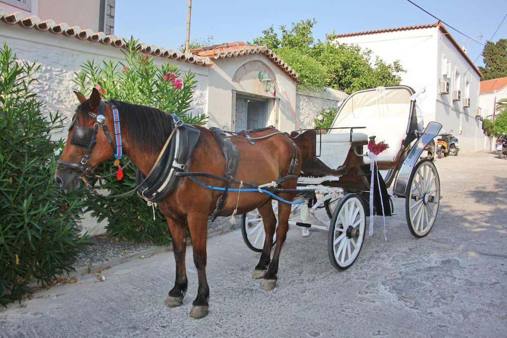 Villa 1853, Spetses Ground Floor Esterno foto